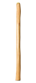 Medium Size Natural Finish Didgeridoo (TW1720)